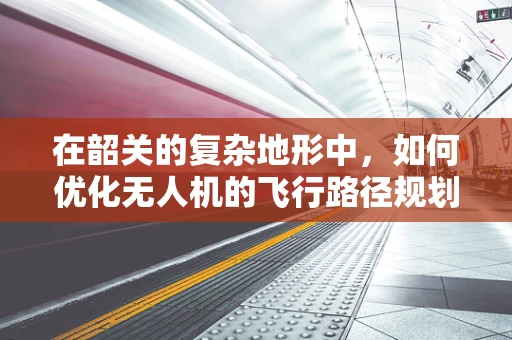 在韶关的复杂地形中，如何优化无人机的飞行路径规划？