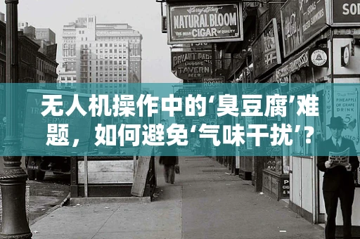 无人机操作中的‘臭豆腐’难题，如何避免‘气味干扰’？