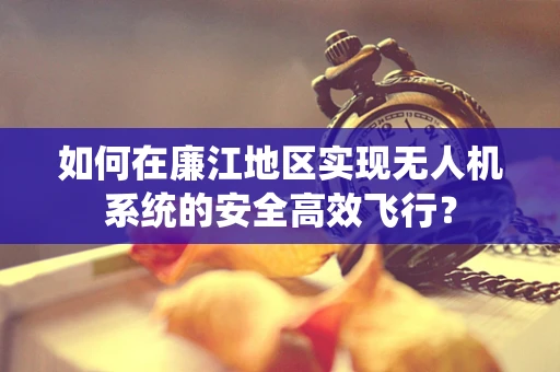 如何在廉江地区实现无人机系统的安全高效飞行？
