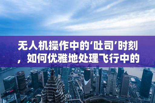 无人机操作中的‘吐司’时刻，如何优雅地处理飞行中的小插曲？