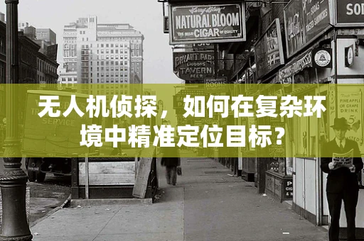 无人机侦探，如何在复杂环境中精准定位目标？