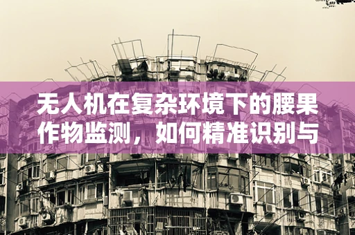 无人机在复杂环境下的腰果作物监测，如何精准识别与评估？