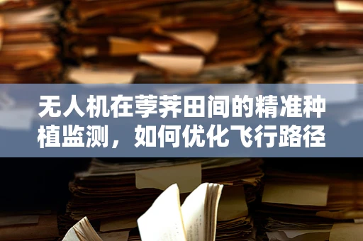 无人机在荸荠田间的精准种植监测，如何优化飞行路径以减少作物损伤？