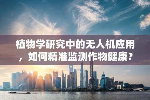 植物学研究中的无人机应用，如何精准监测作物健康？