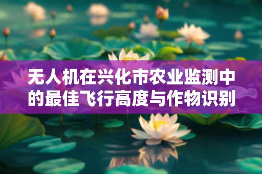 无人机在兴化市农业监测中的最佳飞行高度与作物识别精度关系探究