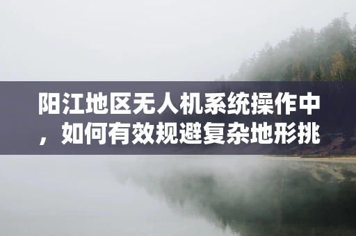 阳江地区无人机系统操作中，如何有效规避复杂地形挑战？