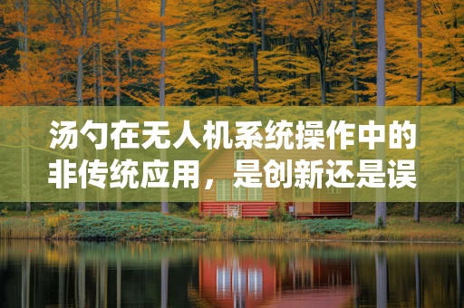 汤勺在无人机系统操作中的非传统应用，是创新还是误导？