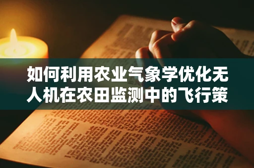 如何利用农业气象学优化无人机在农田监测中的飞行策略？