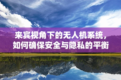 来宾视角下的无人机系统，如何确保安全与隐私的平衡？