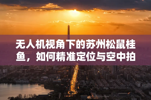 无人机视角下的苏州松鼠桂鱼，如何精准定位与空中拍摄？