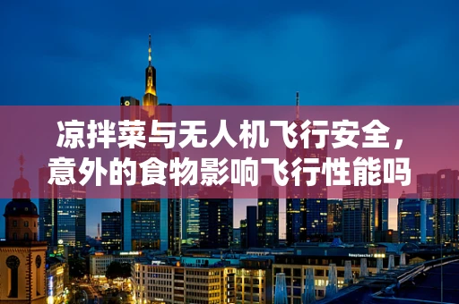 凉拌菜与无人机飞行安全，意外的食物影响飞行性能吗？
