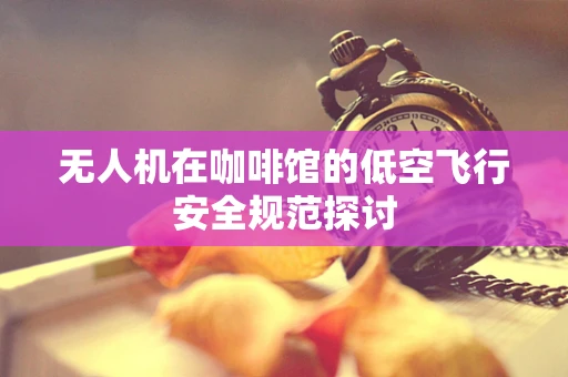 无人机在咖啡馆的低空飞行安全规范探讨