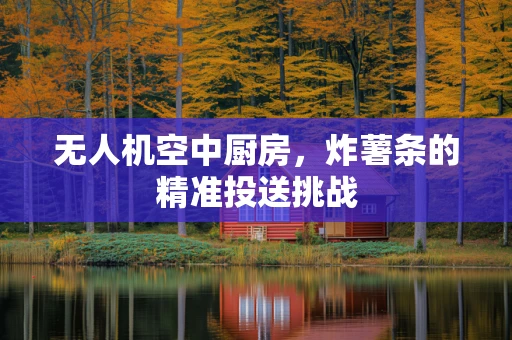 无人机空中厨房，炸薯条的精准投送挑战
