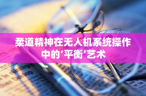 柔道精神在无人机系统操作中的‘平衡’艺术