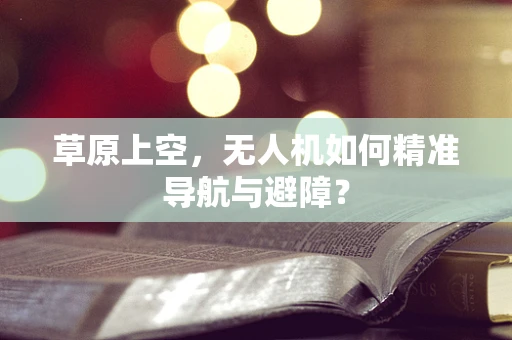 草原上空，无人机如何精准导航与避障？
