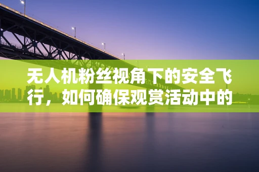 无人机粉丝视角下的安全飞行，如何确保观赏活动中的无忧体验？