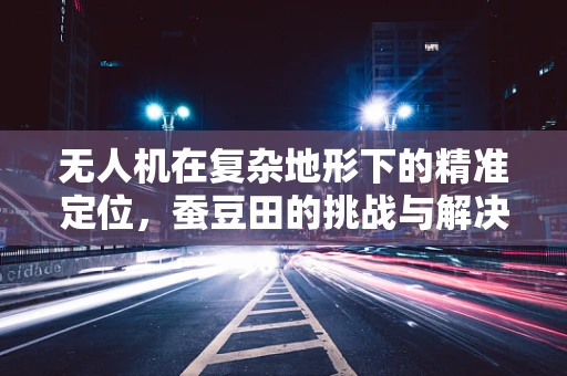 无人机在复杂地形下的精准定位，蚕豆田的挑战与解决方案