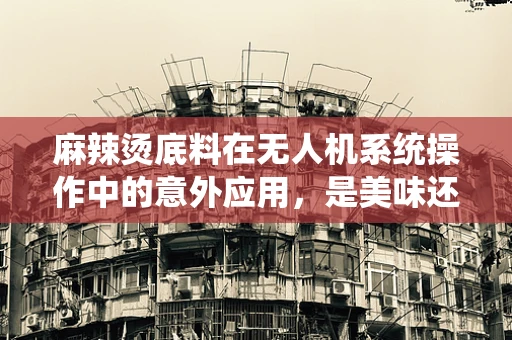 麻辣烫底料在无人机系统操作中的意外应用，是美味还是误操作？
