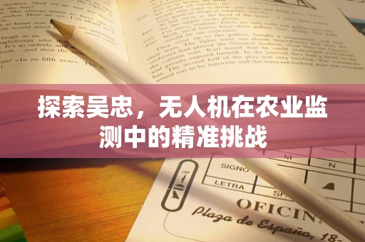探索吴忠，无人机在农业监测中的精准挑战
