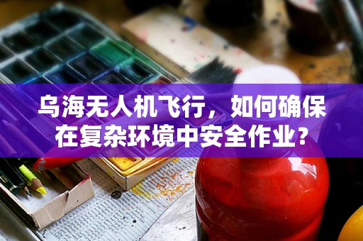 乌海无人机飞行，如何确保在复杂环境中安全作业？
