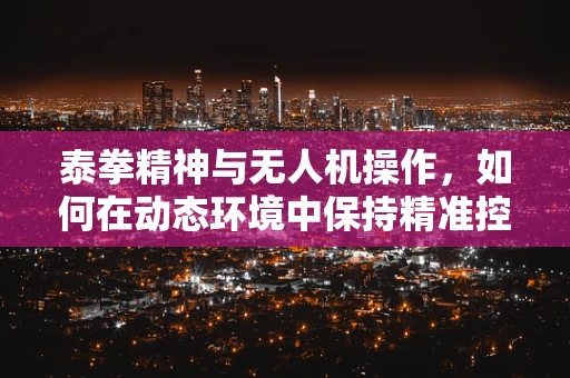 泰拳精神与无人机操作，如何在动态环境中保持精准控制？