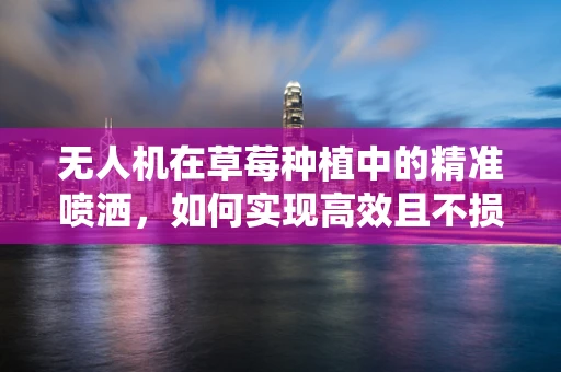 无人机在草莓种植中的精准喷洒，如何实现高效且不损伤果实的智能喷洒系统？