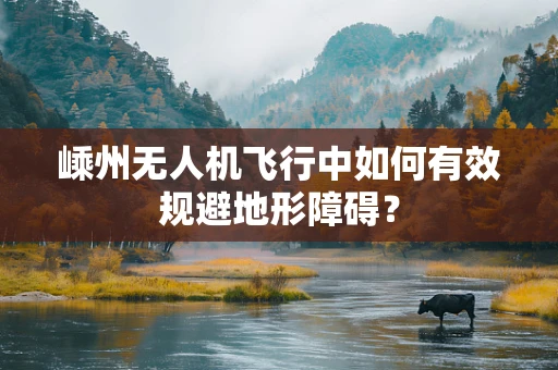 嵊州无人机飞行中如何有效规避地形障碍？