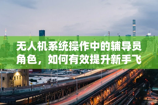 无人机系统操作中的辅导员角色，如何有效提升新手飞行员的安全意识与技能？