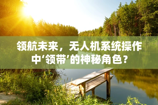 领航未来，无人机系统操作中‘领带’的神秘角色？