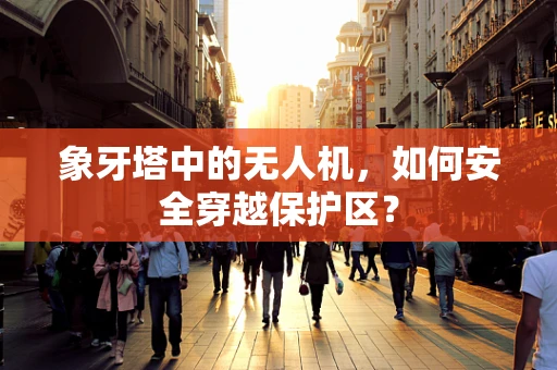 象牙塔中的无人机，如何安全穿越保护区？