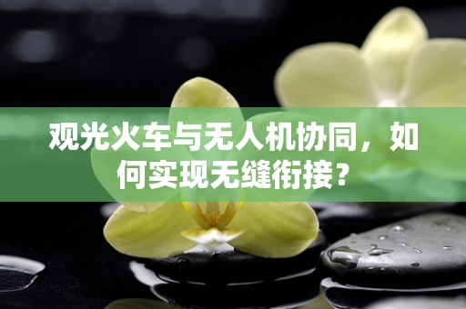 观光火车与无人机协同，如何实现无缝衔接？