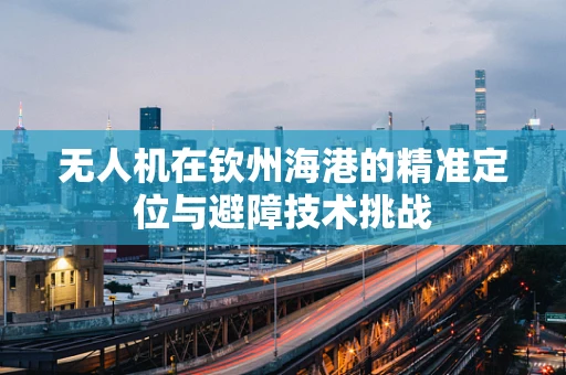 无人机在钦州海港的精准定位与避障技术挑战