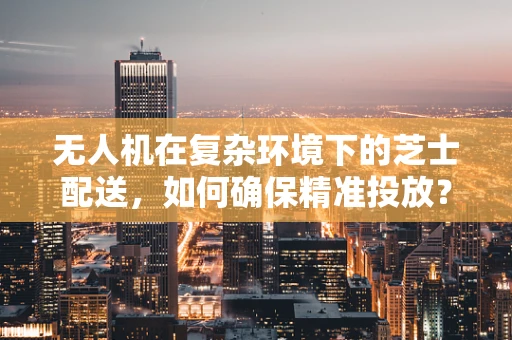 无人机在复杂环境下的芝士配送，如何确保精准投放？