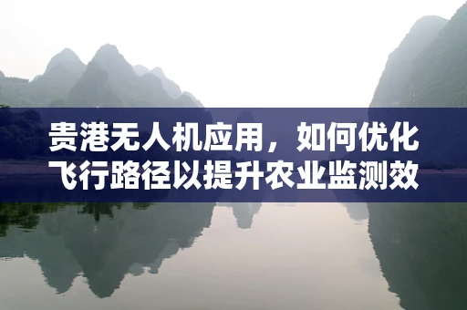 贵港无人机应用，如何优化飞行路径以提升农业监测效率？