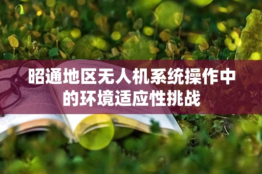 昭通地区无人机系统操作中的环境适应性挑战