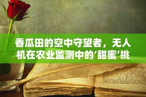 香瓜田的空中守望者，无人机在农业监测中的‘甜蜜’挑战