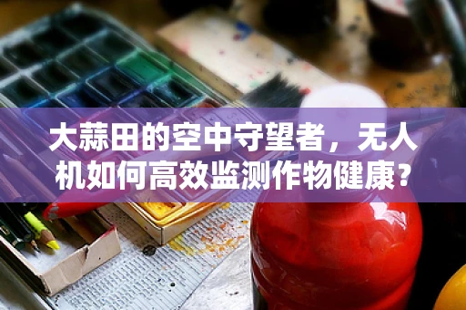 大蒜田的空中守望者，无人机如何高效监测作物健康？