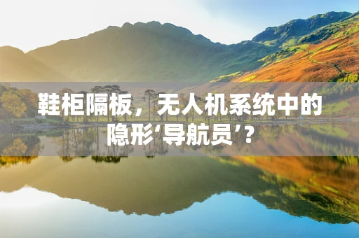 鞋柜隔板，无人机系统中的隐形‘导航员’？