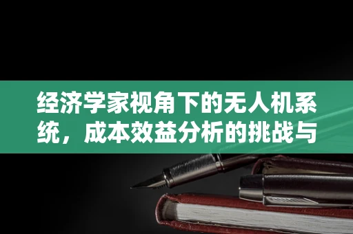 经济学家视角下的无人机系统，成本效益分析的挑战与机遇