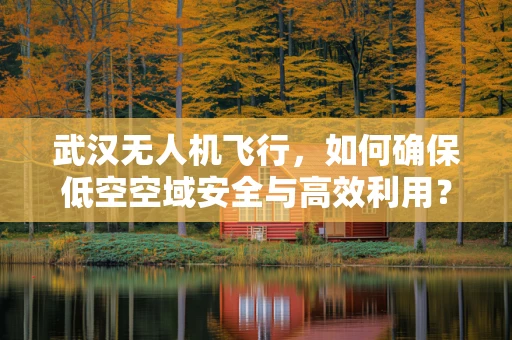 武汉无人机飞行，如何确保低空空域安全与高效利用？