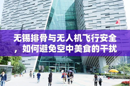 无锡排骨与无人机飞行安全，如何避免空中美食的干扰？
