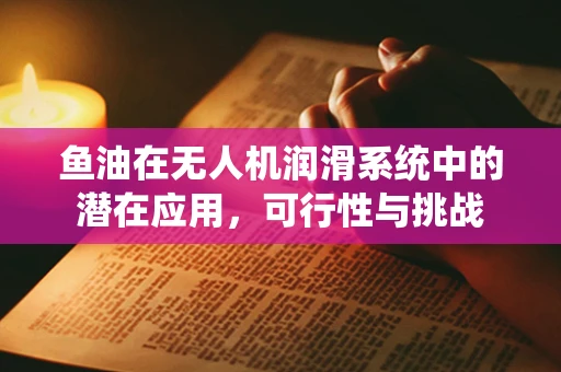 鱼油在无人机润滑系统中的潜在应用，可行性与挑战