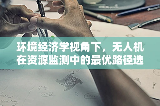环境经济学视角下，无人机在资源监测中的最优路径选择