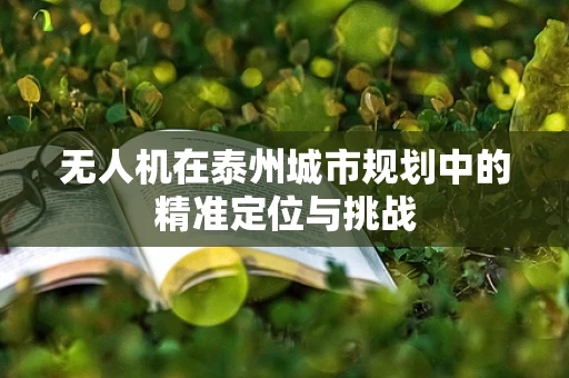 无人机在泰州城市规划中的精准定位与挑战