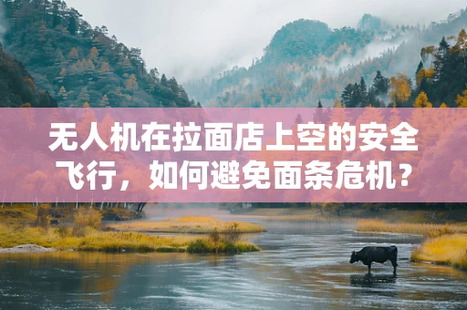 无人机在拉面店上空的安全飞行，如何避免面条危机？