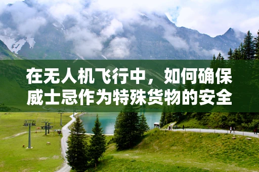 在无人机飞行中，如何确保威士忌作为特殊货物的安全运输？
