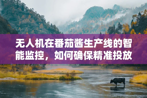 无人机在番茄酱生产线的智能监控，如何确保精准投放不溢出？