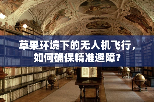 草果环境下的无人机飞行，如何确保精准避障？