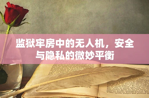 监狱牢房中的无人机，安全与隐私的微妙平衡