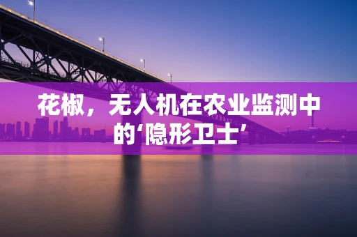 花椒，无人机在农业监测中的‘隐形卫士’